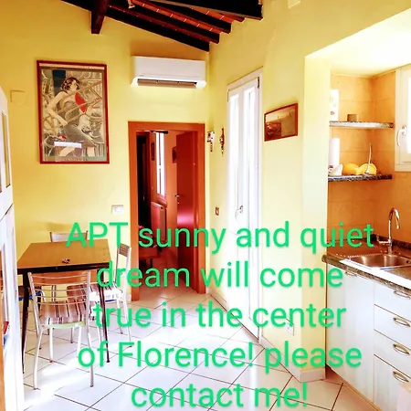 Apt Bright, Quiet! In The Center. Florence Exterior photo